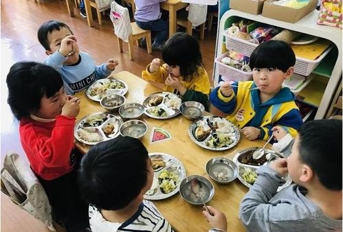 幼兒園出現 調整 ,私立幼兒園要全部關停 教育部門作出回應