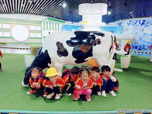 河南教育聯(lián)盟攜手三林幼兒園走進(jìn)花花牛工廠,喝有品質(zhì)的牛奶做有溫度的教育