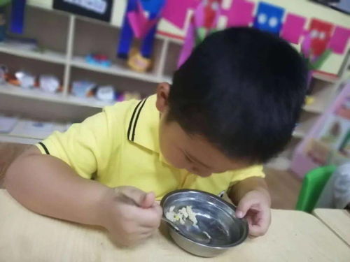 美食每刻 的守護(hù) 長安愛迪幼兒園食品安全宣傳周